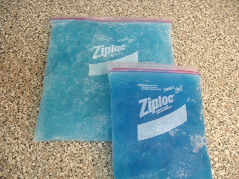 DIY Cooler Ice Packs - ShedHeads