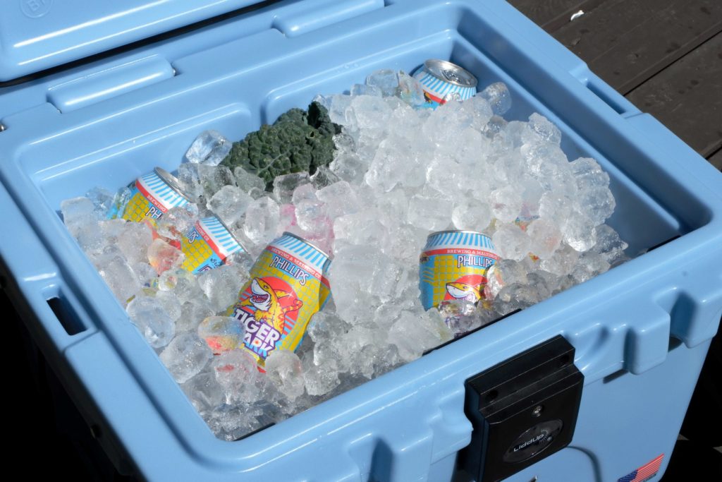 best ice chest reviews