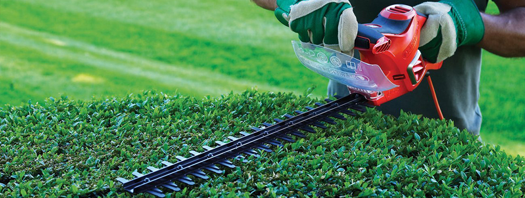 Choosing the Best Cordless Hedge Trimmer For 2020