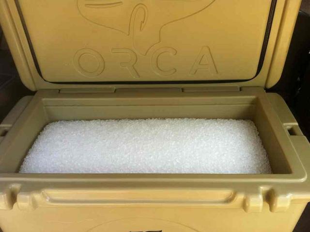 orca full of ice